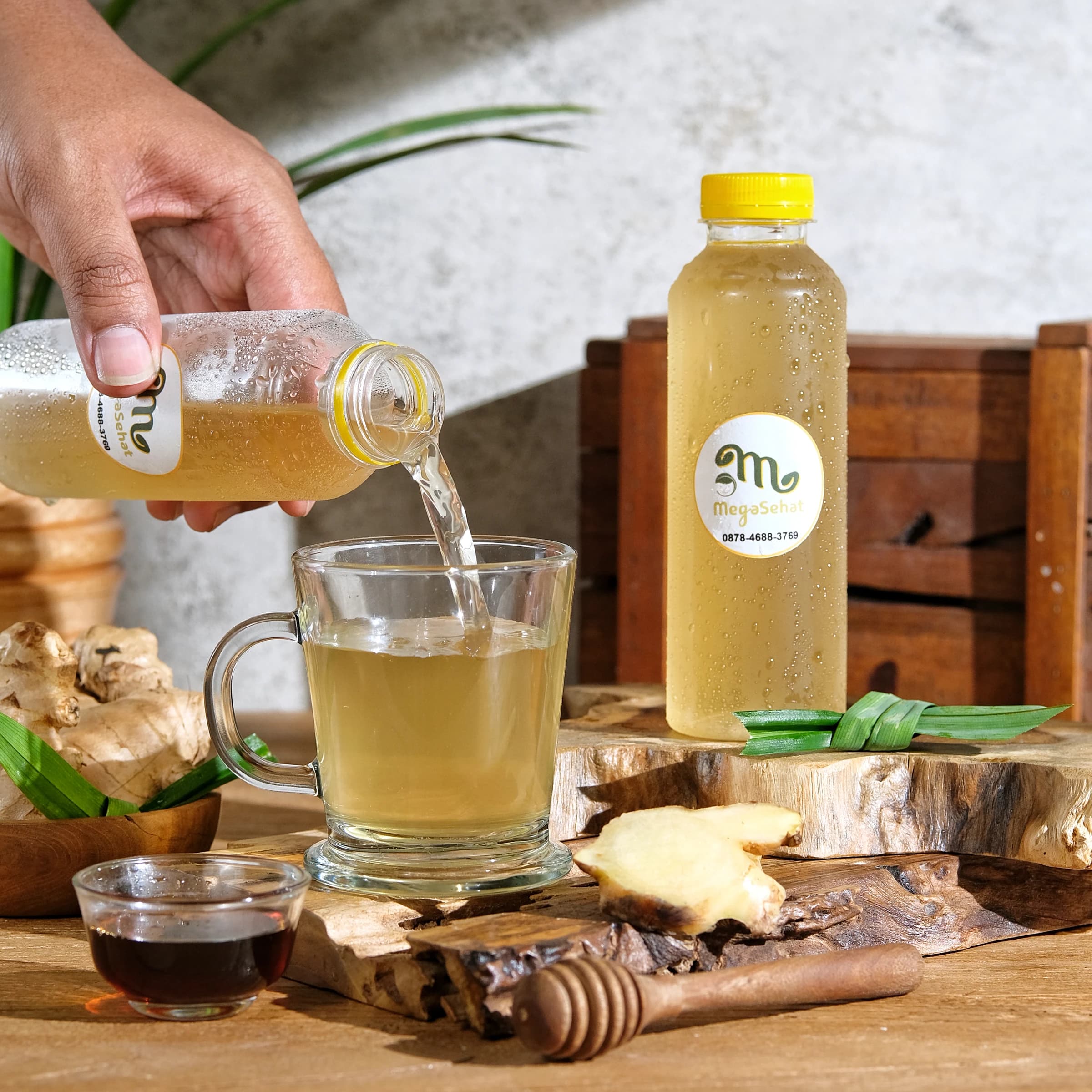 Detail foto 4 traditional - mega sehat untuk bisnis F&B
